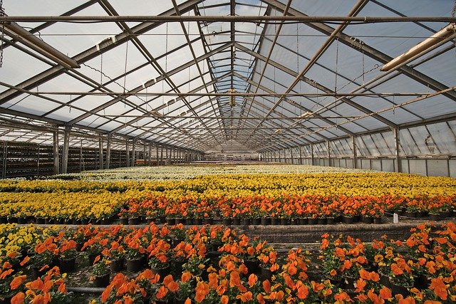 Greenhouse Safety And Maintenance